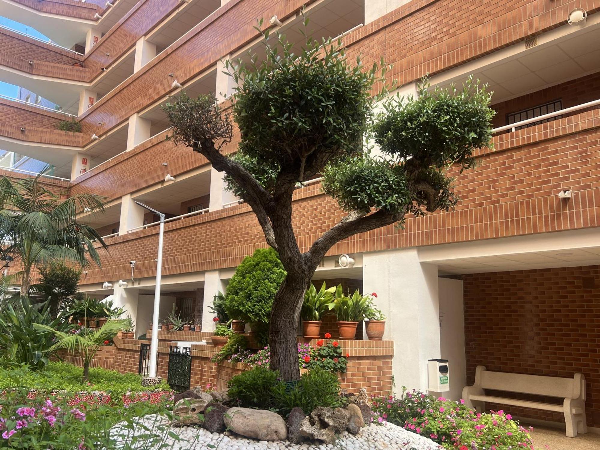 Marina Park *